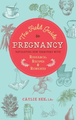 Navigating New Territory with Research, Recipes, and Remedies: The Field Guide to Pregnancy