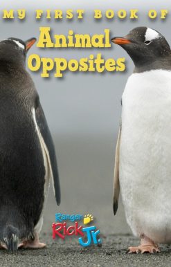 My First Book of Animal Opposites (National Wildlife Federation)