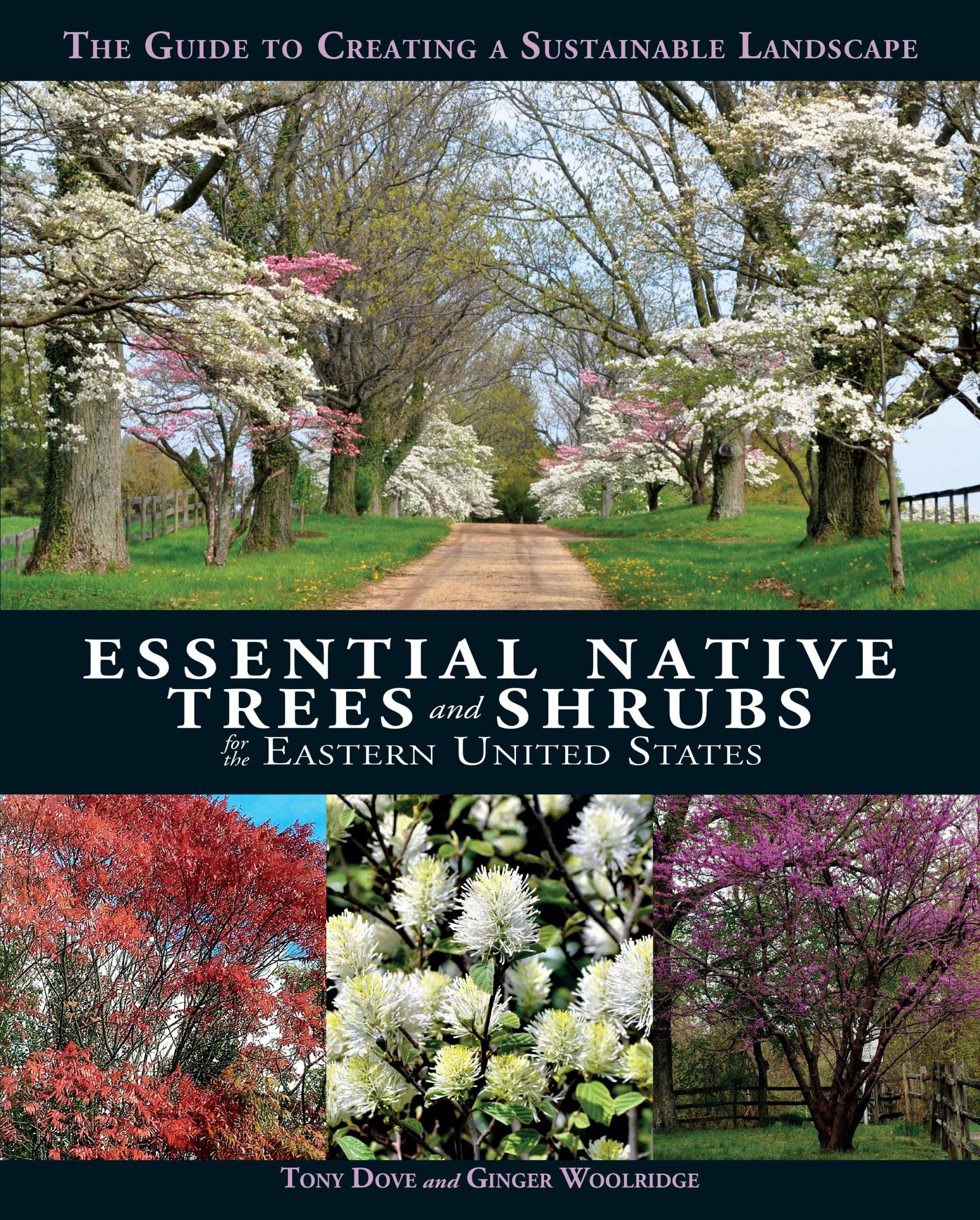 9781623545031 Essential Native Trees and Shrubs for the Eastern United States: The Guide to Creating a Sustainable Landscape