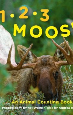 An Animal Counting Book: 1, 2, 3 Moose