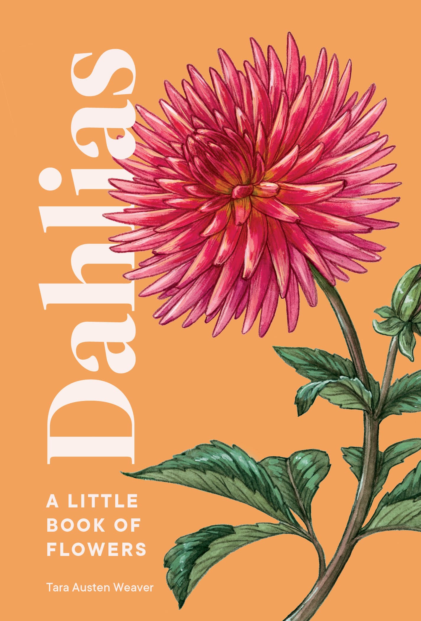 9781632173614 Dahlias: A Little Book of Flowers
