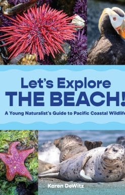 A Young Naturalist’s Guide to Pacific Coastal Wildlife: Let’s Explore the Beach!
