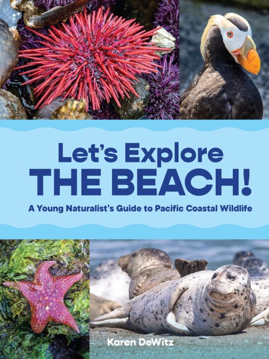 A Young Naturalist’s Guide to Pacific Coastal Wildlife: Let’s Explore the Beach!