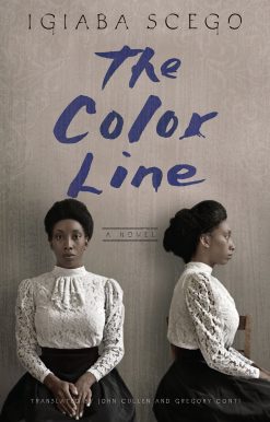 The Color Line: A Novel