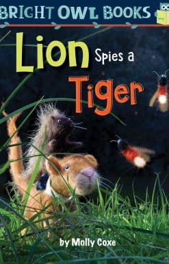 Lion Spies a Tiger
