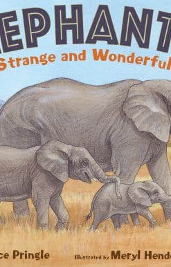 Elephants!: Strange and Wonderful