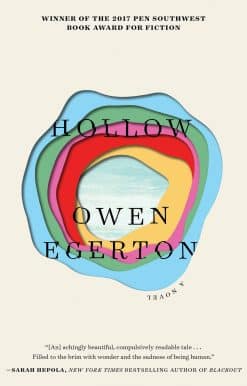 Hollow: A Novel