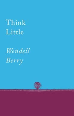 Think Little: Essays