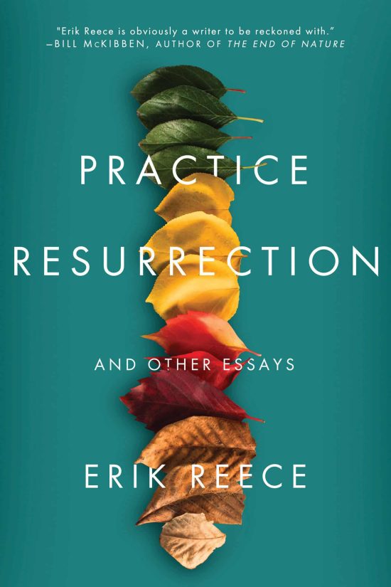 Practice Resurrection: And Other Essays