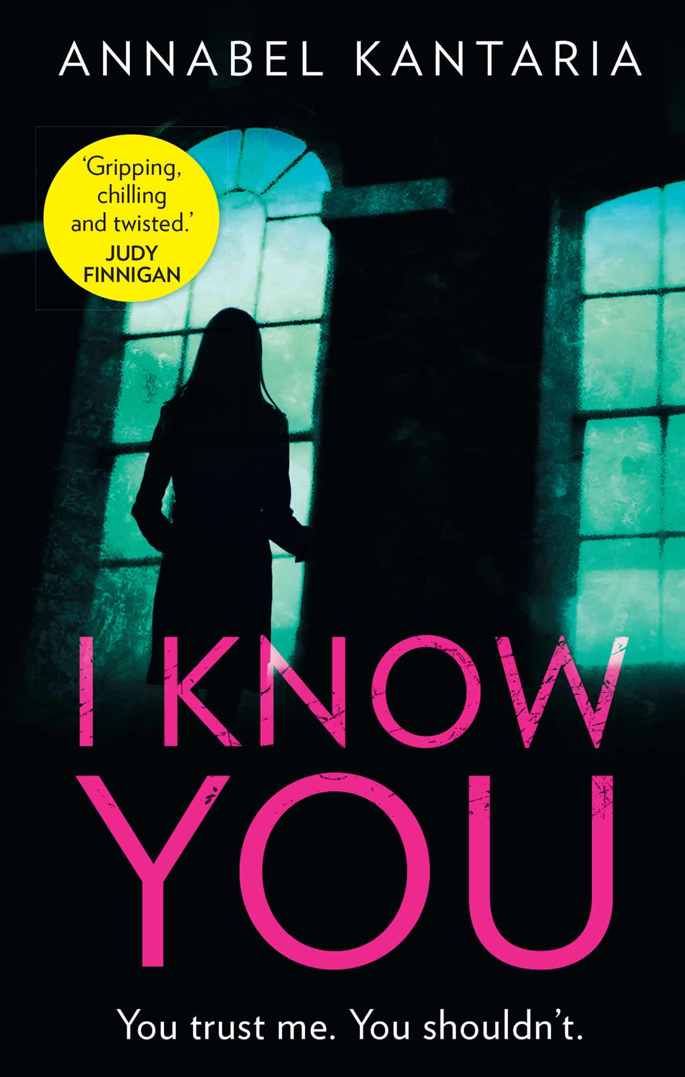 9781643851105 I Know You: A Novel of Suspense