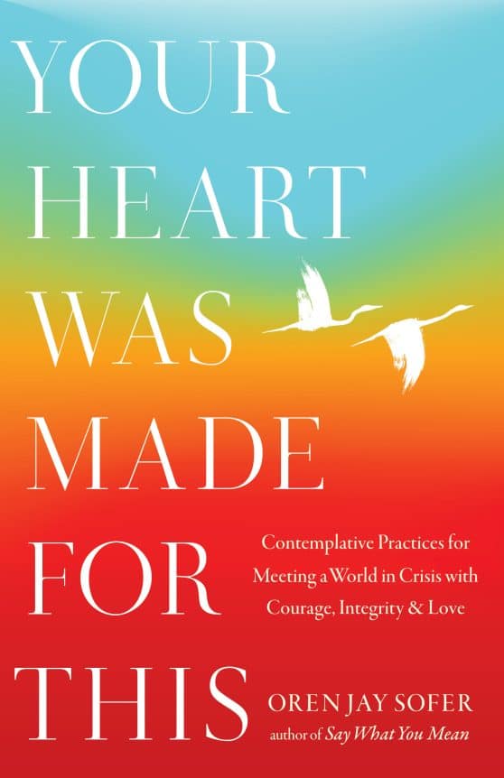 Contemplative Practices for Meeting a World in Crisis with Courage, Integrity, and Love: Your Heart Was Made for This