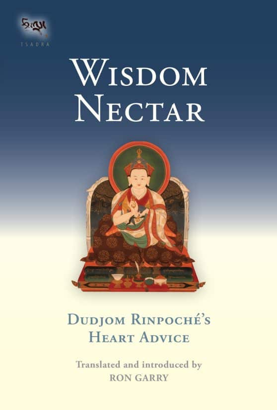 Dudjom Rinpoche's Heart Advice: Wisdom Nectar