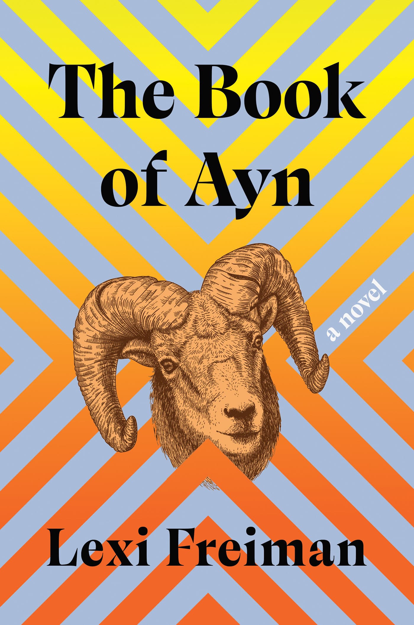 9781646221929 The Book of Ayn: A Novel