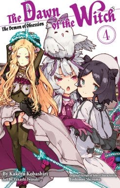 The Dawn of the Witch 4 (light novel)
