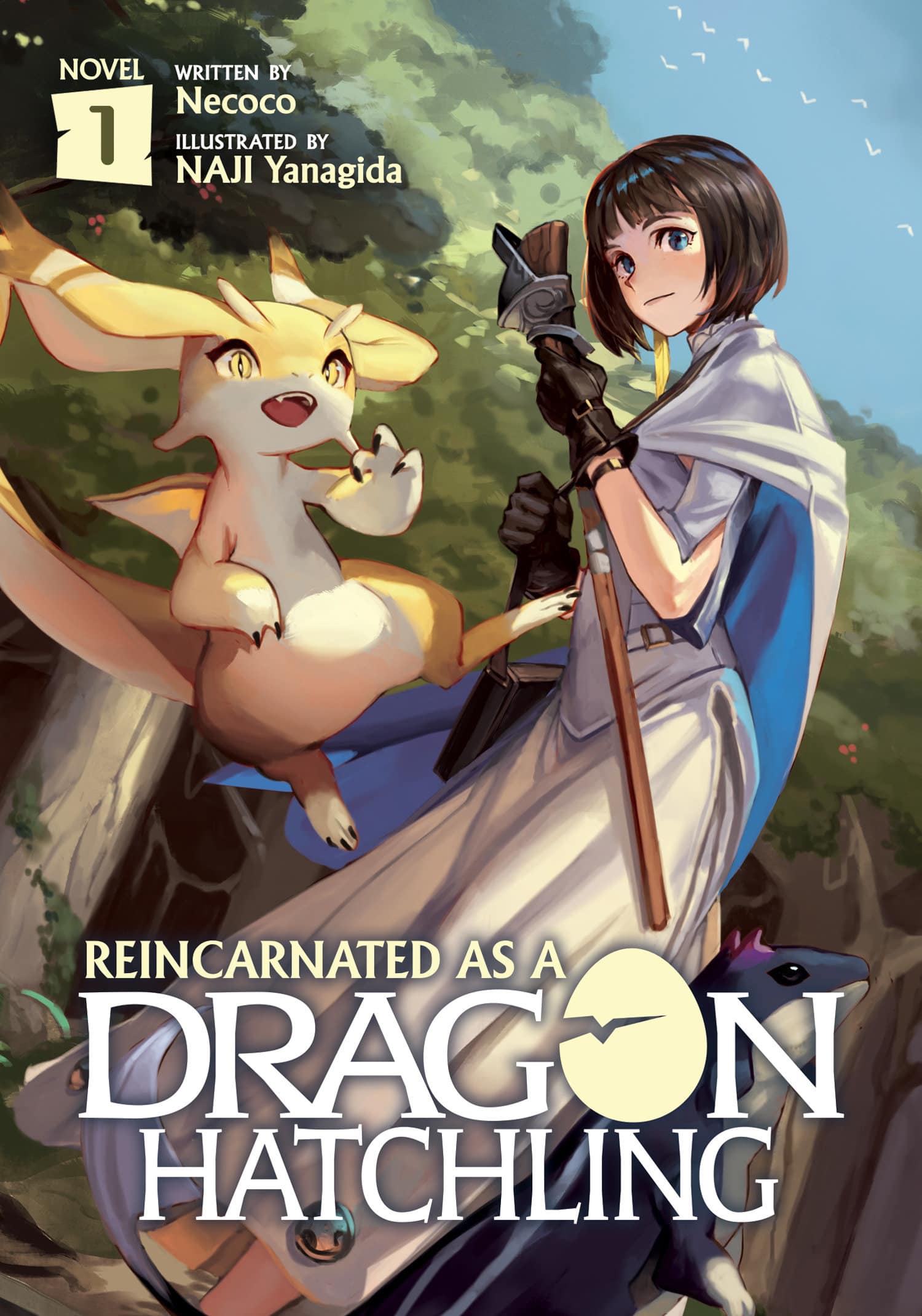 9781648275814 Reincarnated as a Dragon Hatchling (Light Novel) Vol. 1