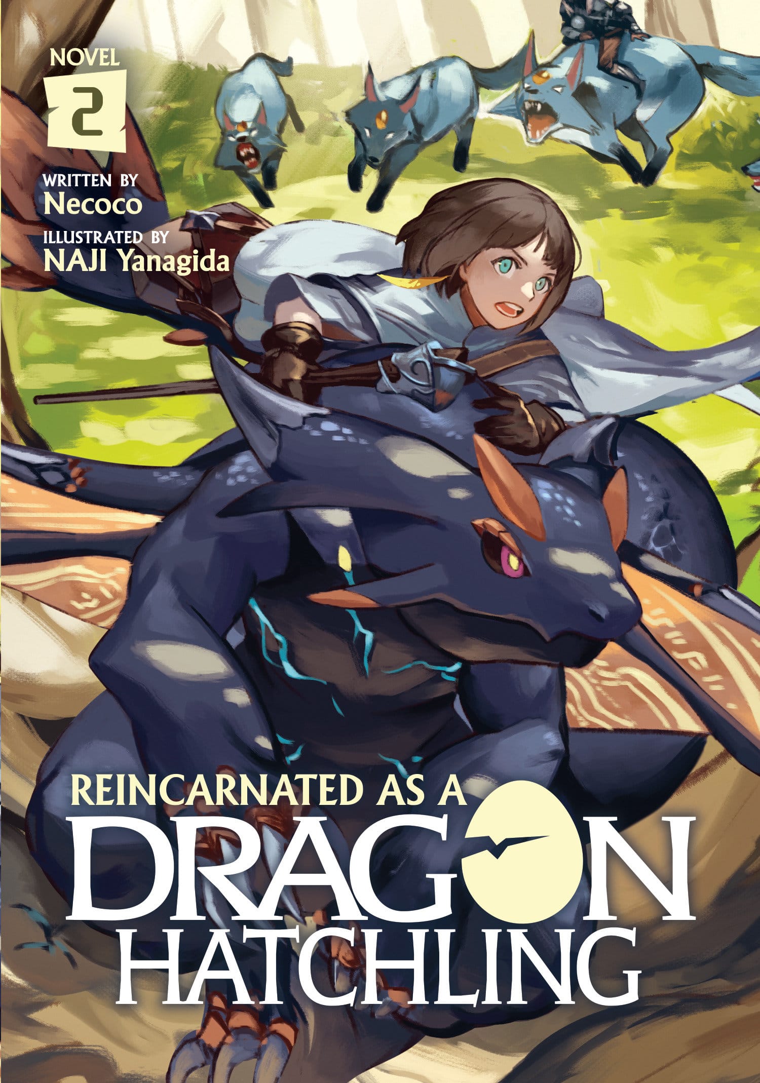 9781648276095 Reincarnated as a Dragon Hatchling (Light Novel) Vol. 2