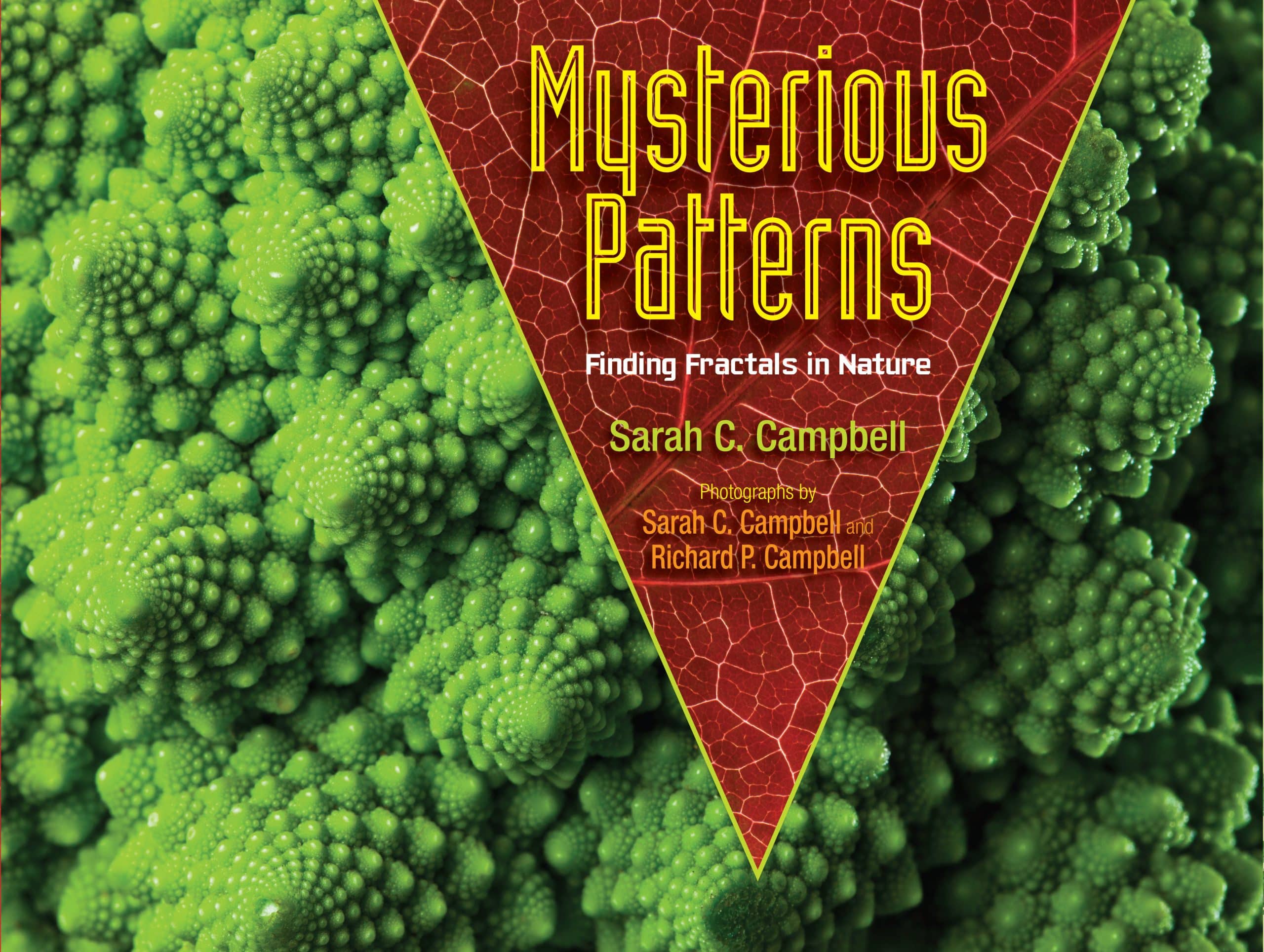 9781662620416 Mysterious Patterns: Finding Fractals in Nature