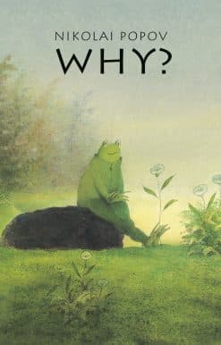WHY?: A Timeless Story Told Without Words
