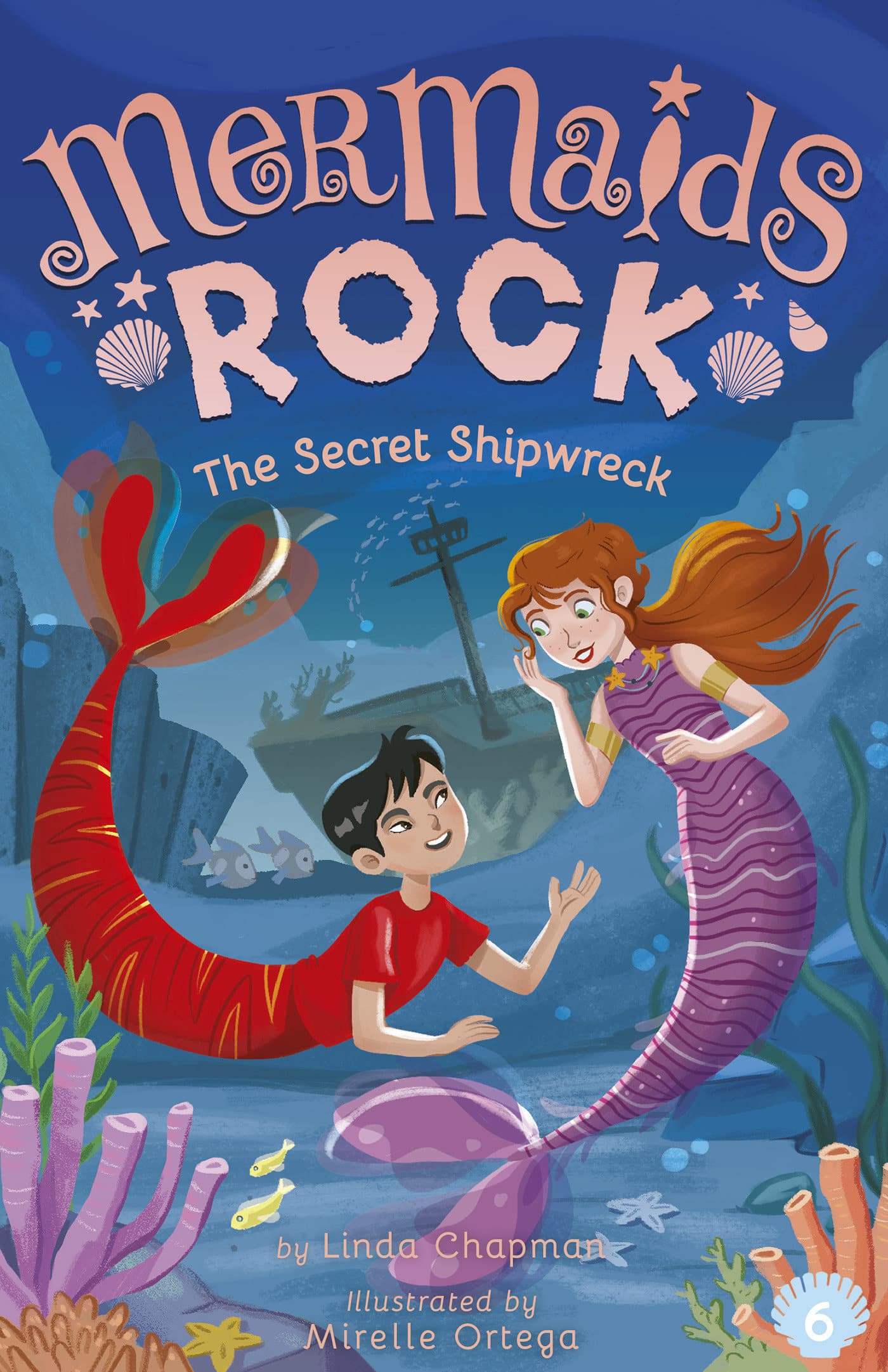 9781664340442 The Secret Shipwreck