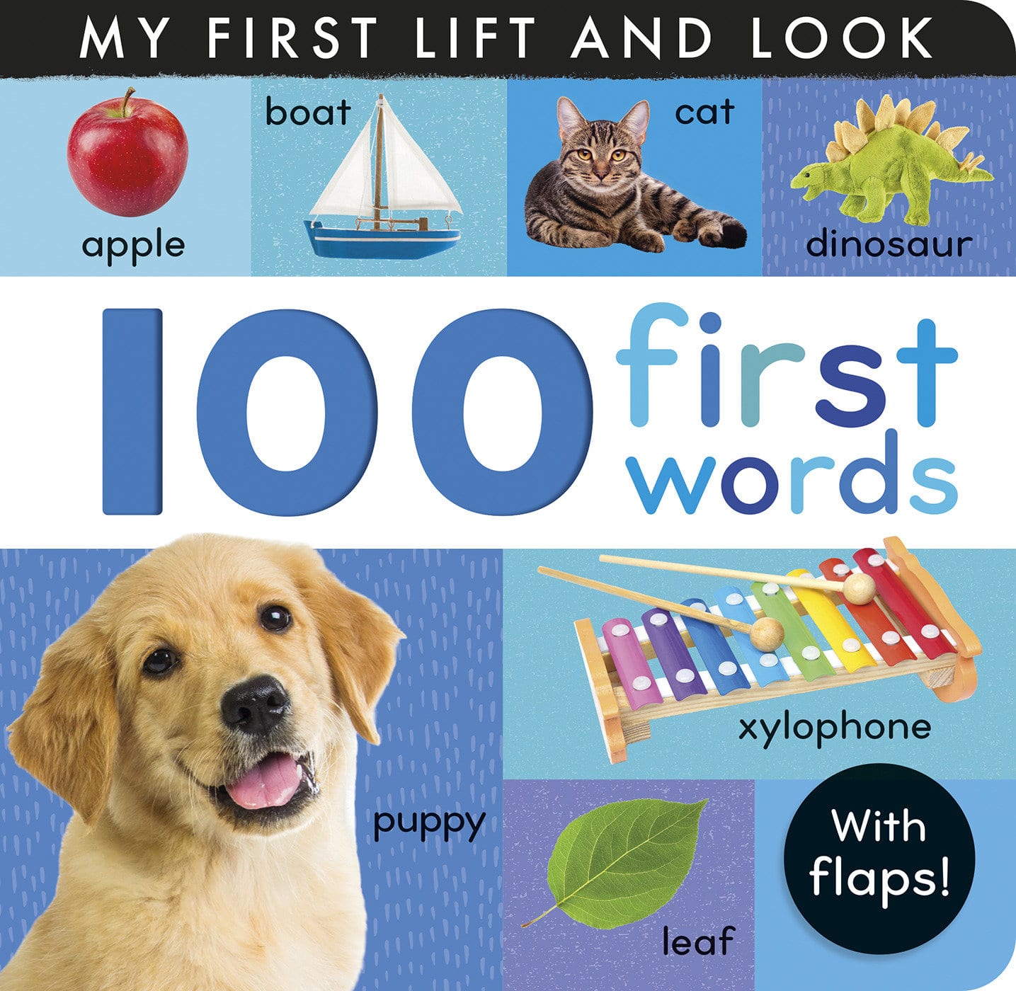 9781664350656 100 First Words: My First Lift and Look (with Flaps)
