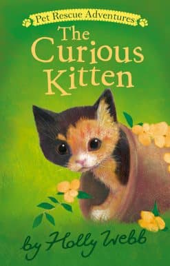 The Curious Kitten