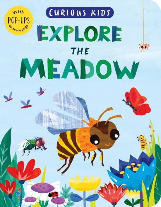 Curious Kids: Explore the Meadow: With POP-UPS on every page