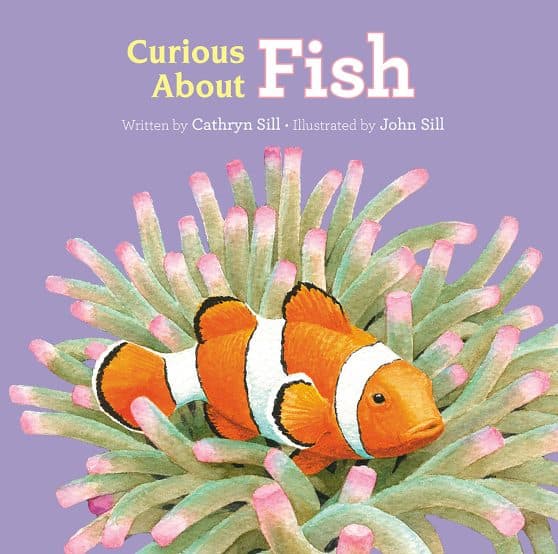 Curious About Fish