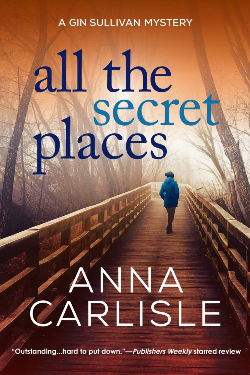 A Gin Sullivan Mystery: All the Secret Places