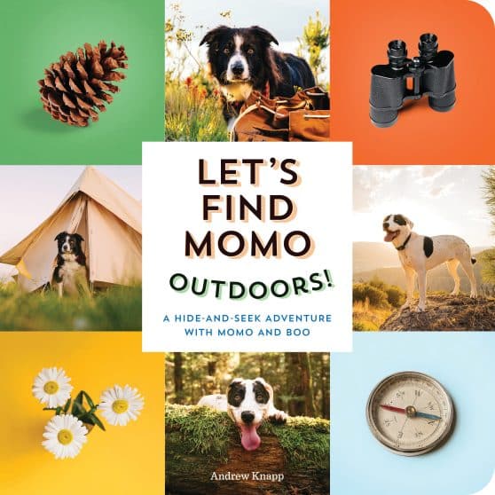 A Hide-and-Seek Adventure with Momo and Boo: Let's Find Momo Outdoors!