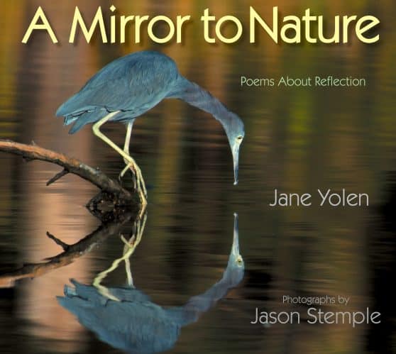 Poems about Reflection: A Mirror to Nature