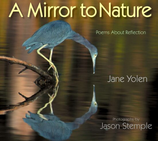 Poems about Reflection: A Mirror to Nature