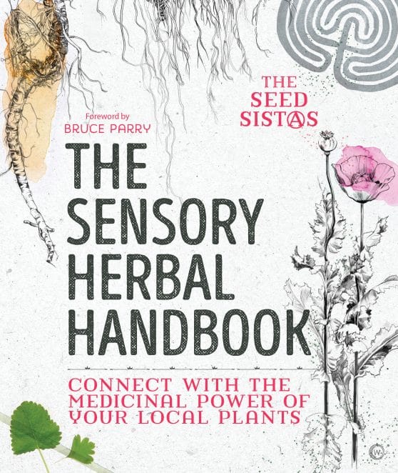 Connect with the Medicinal Power of Your Local Plants: The Sensory Herbal Handbook