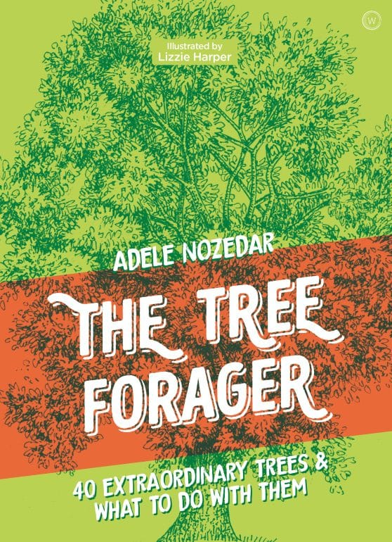 40 Extraordinary Trees & What to Do with Them: The Tree Forager