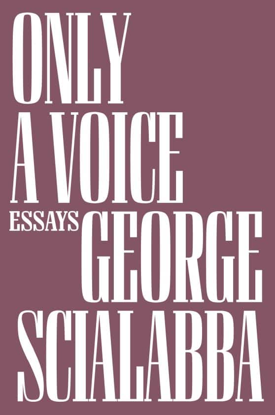 Essays: Only a Voice