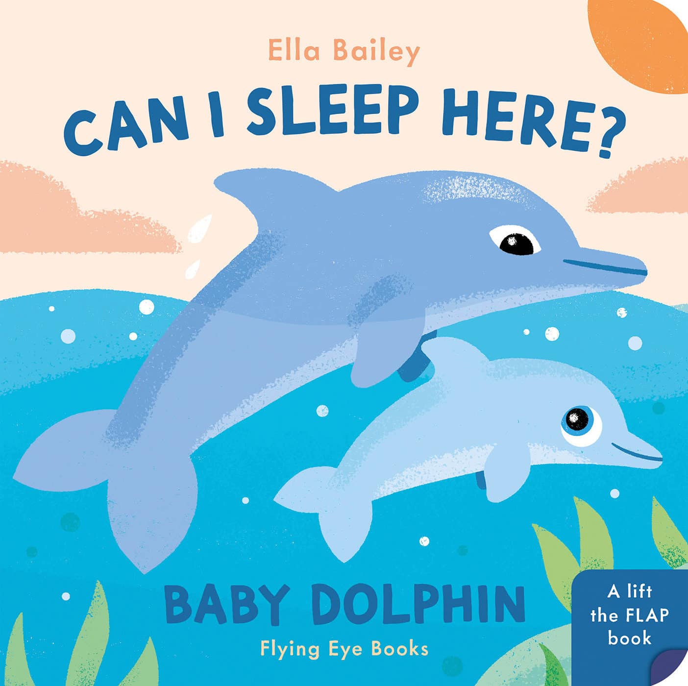 9781838748937 Can I Sleep Here Baby Dolphin