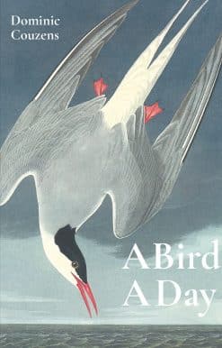 Bird A Day