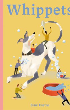 Whippets