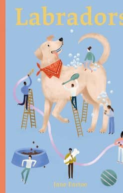 Labradors: