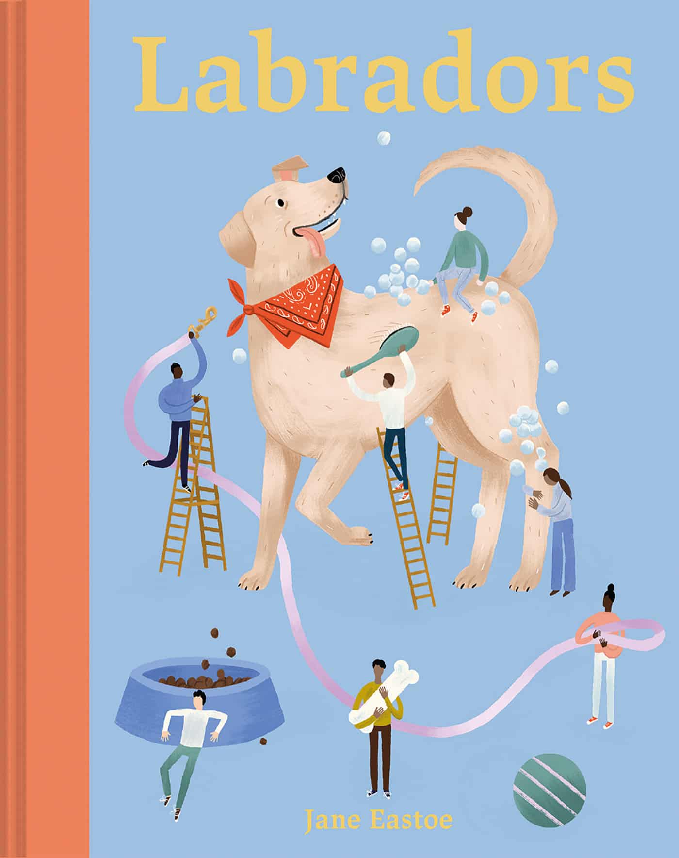 9781849947930 Labradors: