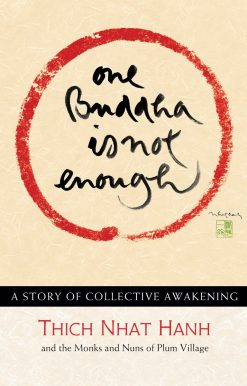 One Buddha is Not Enough: A Story of Collective Awakening