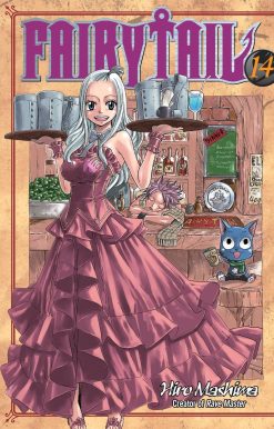FAIRY TAIL 14: