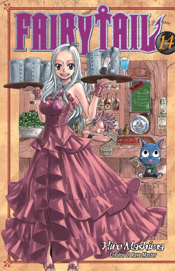 FAIRY TAIL 14: