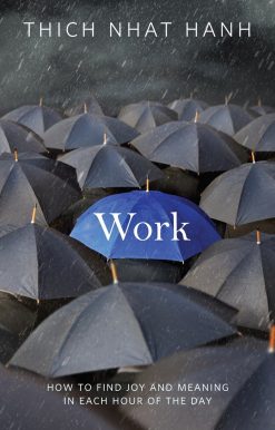 Work: How to Find Joy and Meaning in Each Hour of the Day