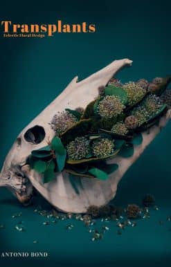Transplants: Eclectic Floral Design
