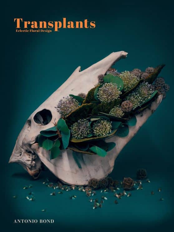 Transplants: Eclectic Floral Design 
