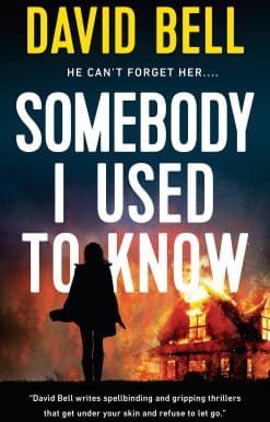 Somebody I Used to Know