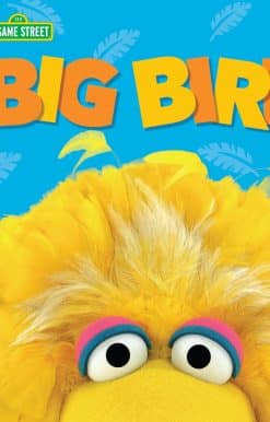 Big Bird (Sesame Street Friends)