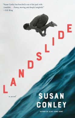 A novel: Landslide