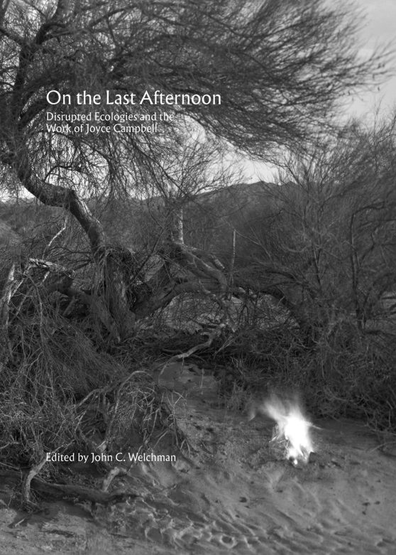On the Last Afternoon: Disrupted Ecologies and the Work of Joyce Campbell