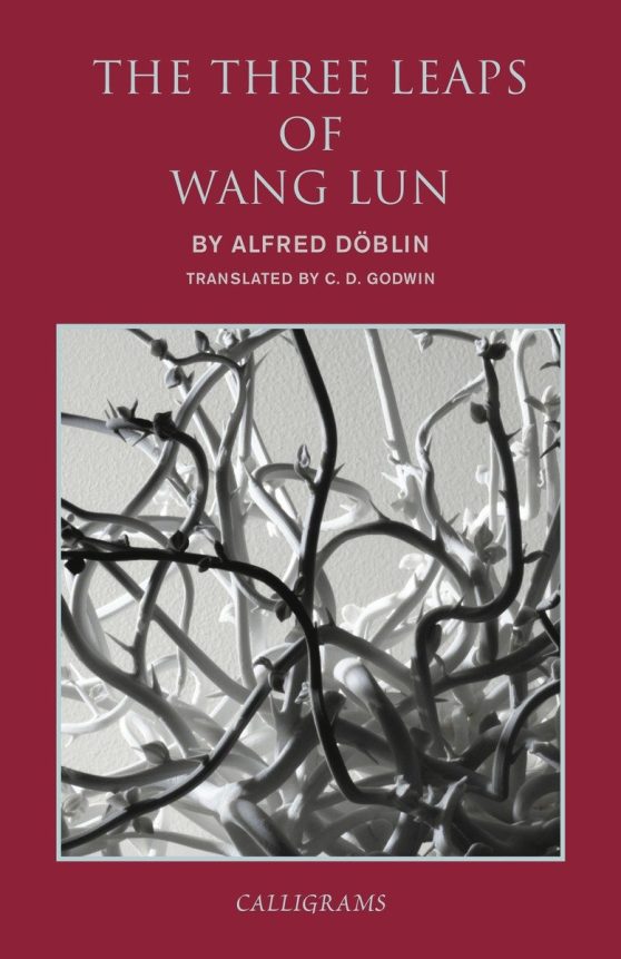 A Chinese Novel: The Three Leaps of Wang Lun